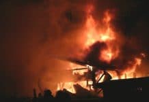 Jeder fünfte Brand betrifft die Landwirtschaft