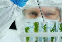 Irrweg oder Schlüsseltechnologie?