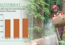 In Zukunft führt kein Weg vorbei an Holz