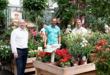 In Oberösterreich wird auf Hochtouren gegartelt