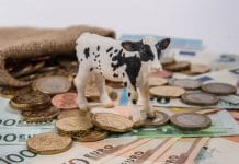 Agrarinvestitionskredit um 50 Mio. Euro aufgestockt