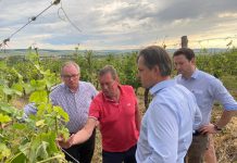 Lokalaugenschein nach Unwetter-Katastrophe