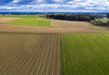 Fortsetzung der Webinar-Reihe “Ideenacker” am 14. Juni