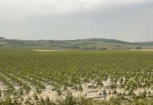 Woche der Unwetterschädenrekorde