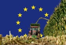 Bauernbund begrüßt Planungssicherheit durch GAP-Einigung