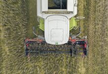 EU-Bürokraten wollen strenge Opium-Grenzwerte für Mohn