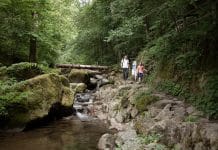 Leader: Entdeckungstour durch Oberösterreich