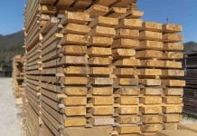 Mit Holz aus der Klimakrise