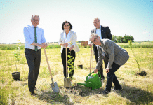 Dem richtigen Waldbaum-Mix auf der Spur
