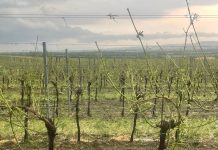 Weiterer trauriger Unwetterrekord: 28 Mio. Euro Schaden