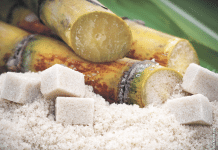 Welt-Zuckerproduktion geht nach oben