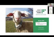 Robotik und Sensoren in der Tierhaltung