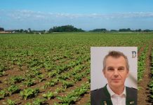 Rübenbauern: “Der Zuckerpreis ist jetzt das Sorgenkind”