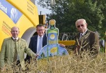 „Rapso-“Anbauflächen 2021 gesucht – jetzt das aktuelle Preishoch nutzen