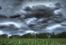 Weitere schwere Unwetter über Teilen Österreichs: 3,2 Mio. Euro Schaden für Bauern