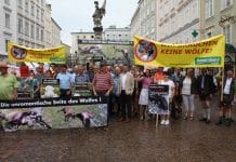 Kampfansage an den Wolf