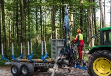 Nur ein bewirtschafteter Wald schützt Klima und Artenvielfalt
