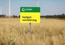 Die Saatbau Linz vermehrt in Österreich 230 Sorten von mehr als 40 Kulturarten