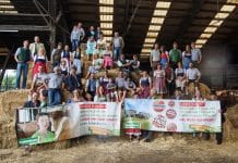 Gemeinsame Interessen bündeln und dadurch mehr erreichen