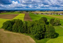 Biodiversitätsstrategie braucht Einbindung aller Betroffenen