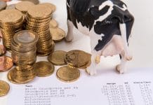 AMA erhebt für Juni im Monats- und Jahresabstand höhere Erzeugermilchpreise