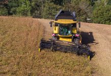 Ambitioniertes Ziel: 50 Prozent weniger Sojaimporte aus Übersee