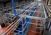 DeLaval P100-Melkstandsystem : Alles „easy“