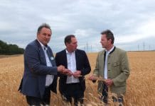 Getreideernte 2021: Erträge geringer, verbesserte Preise erforderlich