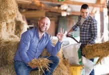 Glück finden am Bauernhof