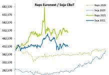 Terminmarkt International im Juli – Wieder steigende Trends bei Raps, Weizen und Mais