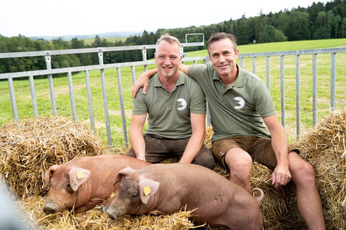 34 21BZ MeinSchwein PR