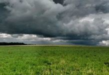 Gahr fordert mehr Schutz für das Grünland