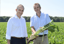 Zuckerwirtschaft ist für den Herbst optimistisch