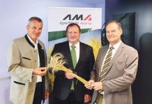 Matte Erntebilanz bei Getreide: Große Ähren, kleine Körner