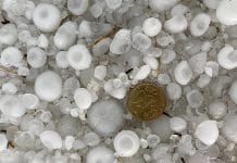 Erneute Unwetter in Niederösterreich