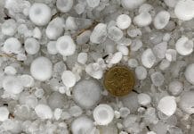 Unwetter sorgen erneut für große Schäden in der Landwirtschaft