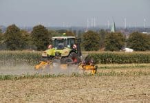 Webinar „Stoppelbearbeitung & Strohmanagement bei (Körner)Mais“