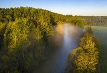 13 Mio. Euro für mehr Biodiversität in unseren Wäldern
