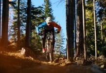 Radprofi sorgt für ein gutes Miteinander