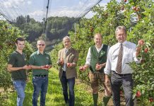 Apfelernte sehr aromatisch aber um ein Drittel kleiner