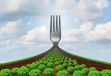 Europaabgeordnete stimmen über die “Farm to Fork”-Strategie ab