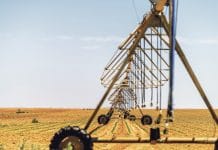 „Vielleicht haben wir noch 10 Jahre“