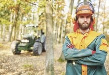 Kohlenstoffsenke Wirtschaftswald