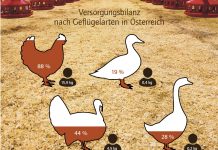 Positiver Ausblick für die Geflügelbranche
