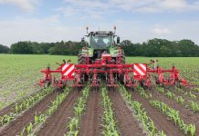 Die Doppelreihe sauber halten