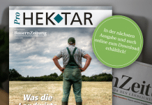 ProHEKTAR Ausgabe 3/2021