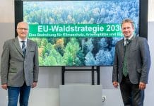 Neue EU-Waldstrategie 2030: Bedrohung für Klimaschutz, Arbeitsplätze und Eigentum