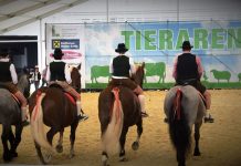 Rieder Messe 2021: Erwartungen bei Weitem übertroffen