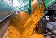 Agrana-Stärkekampagne ist voll angelaufen