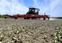 Einböck: Aller guten Dinge sind fünf